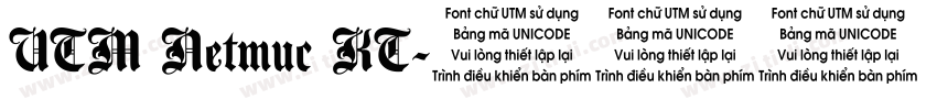 UTM Netmuc KT字体转换